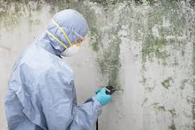 Professional Mold Remediation in Woodbury Heights, NJ